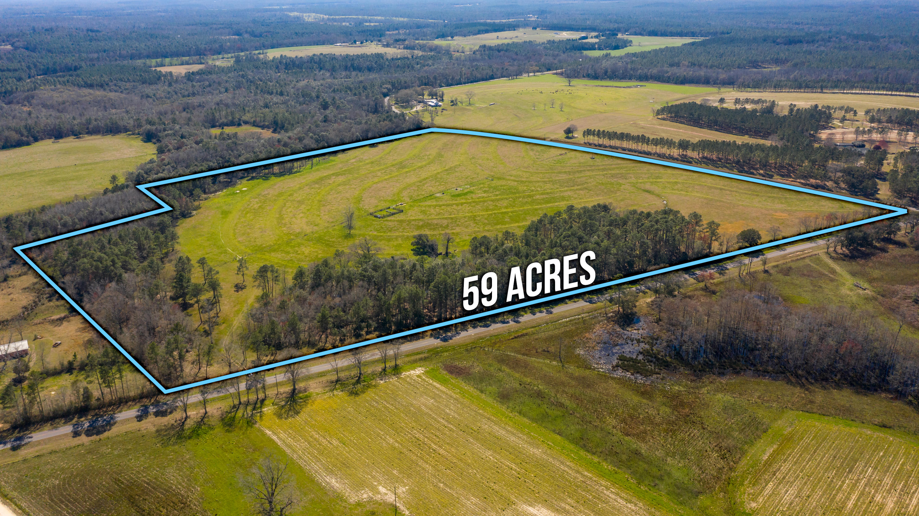 59-acres Pen Williams Road DeFuniak Springs, FL 32433 - Photo 4 of 6 County HWY 181 Parcel-59-6