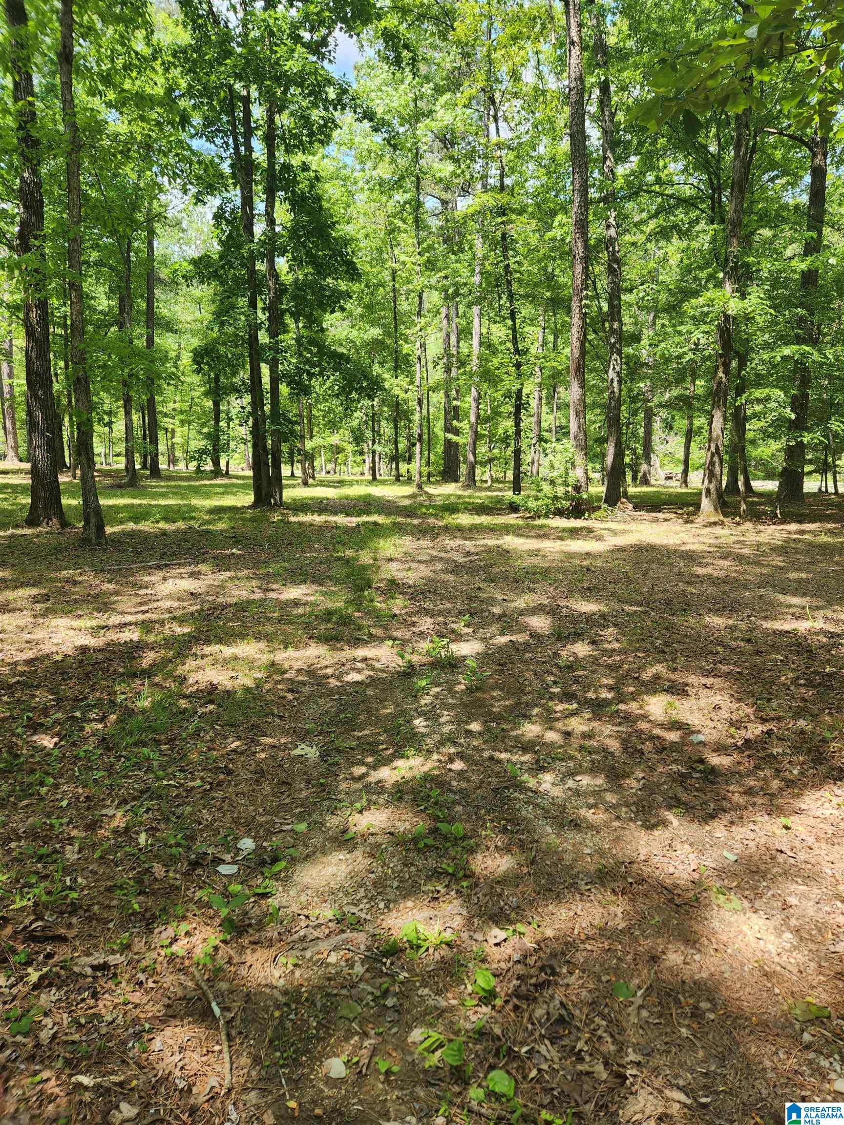 8757 Shades Fall Way, Unit 3 Bessemer, AL 35022 - Photo 9 of 16