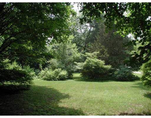 71-65 Hundreds Road Wellesley, MA 02481 - Photo 4 of 7
