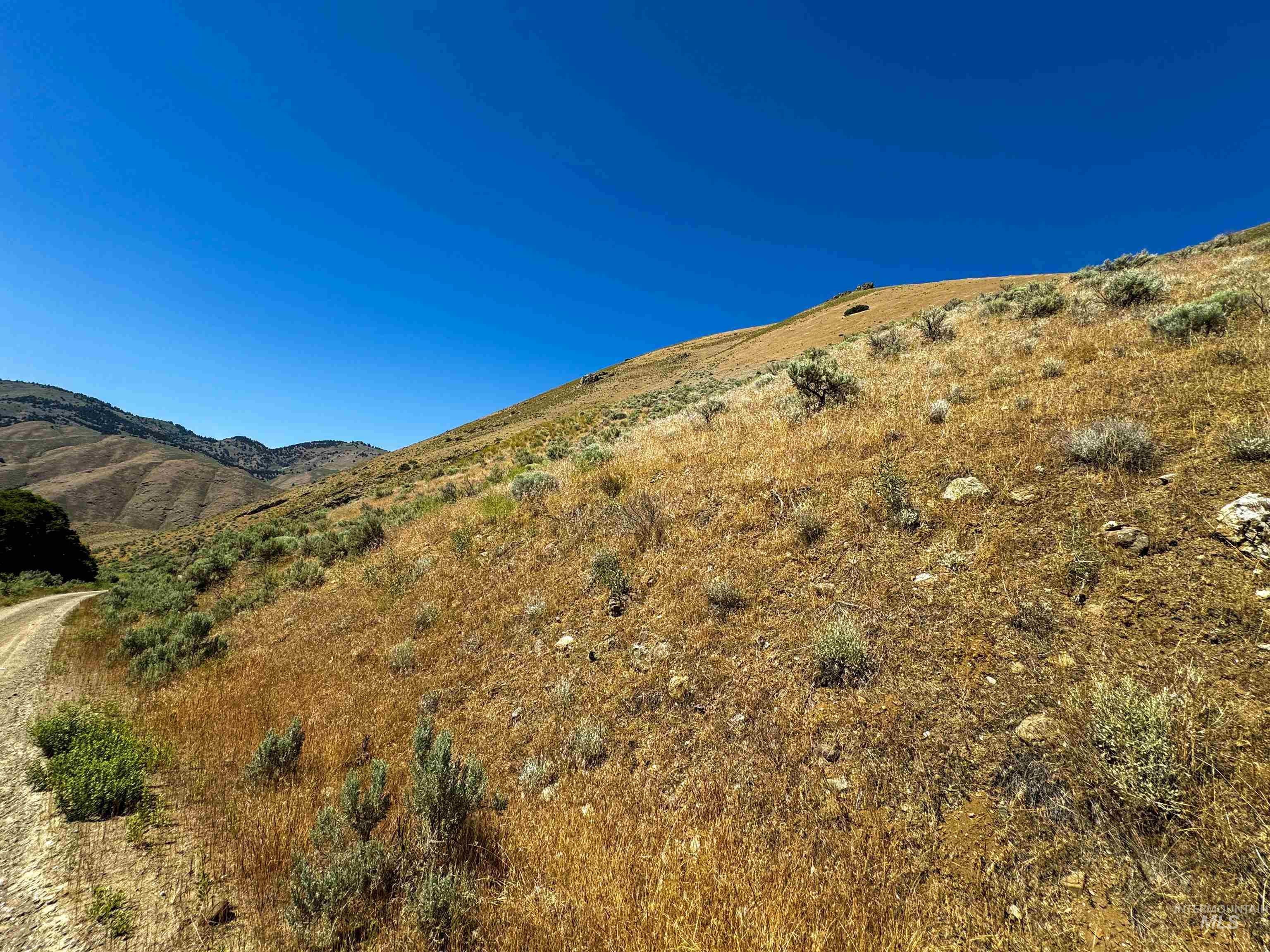 Lot 2-parcel Dennett Creek Road Weiser, ID 83672 - Photo 7 of 10 Gallery Image 7