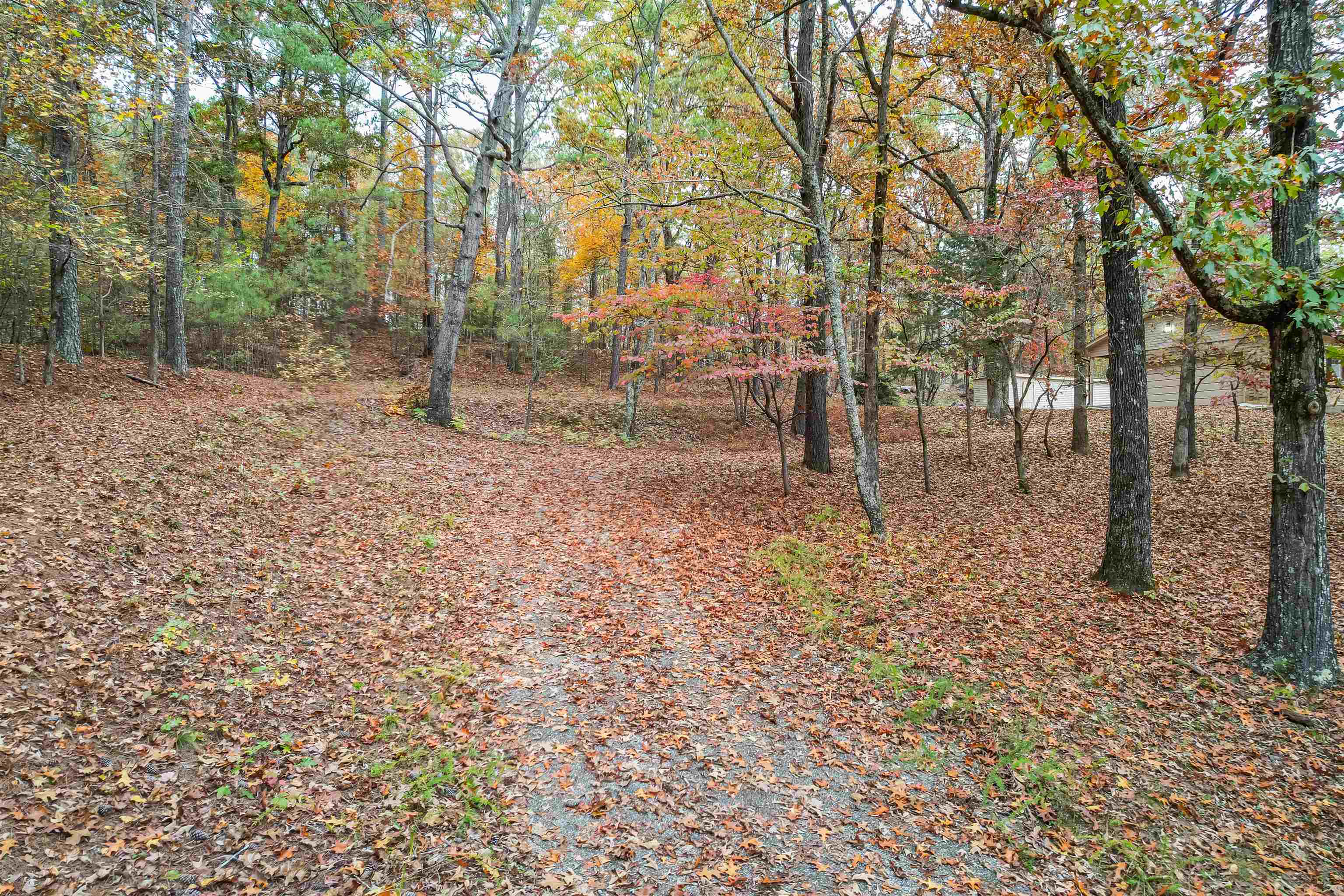 567 South 6th Street Selmer, TN 38375 - Photo 13 of 31 View of road
