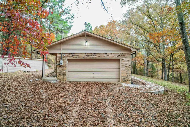 a view of a backyard