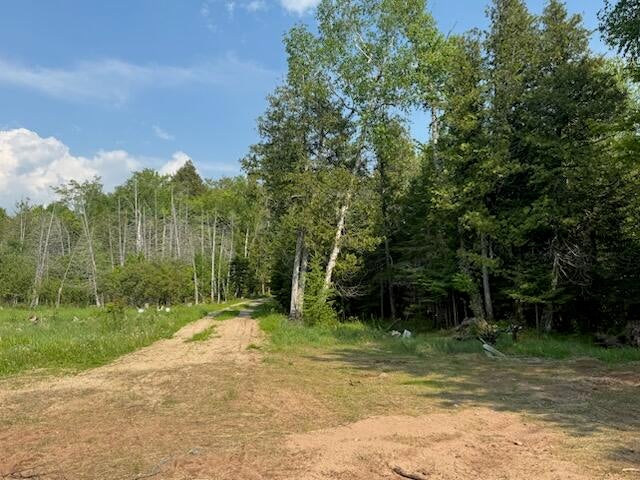 0 North Co Road McMillan, MI 49853 - Photo 13 of 41 Gallery Image 13