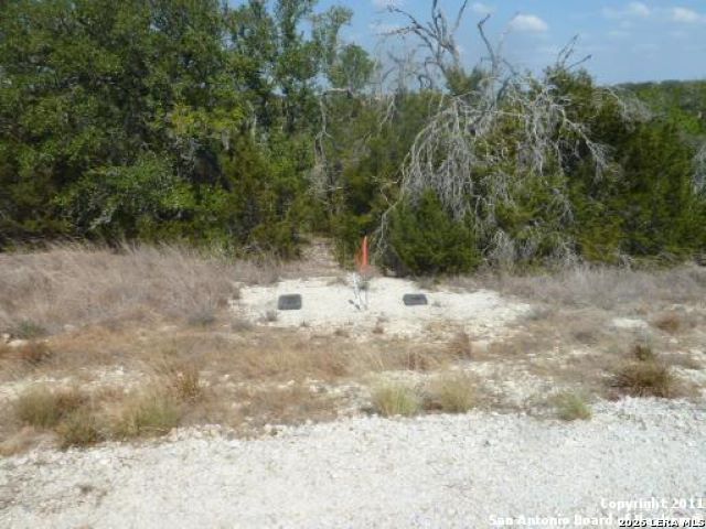 564 Rock Trail Place Spring Branch, TX 78070 - Photo 2 of 4