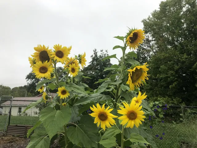 $349,000 | 20 Thompson Road, Veazie, ME 04401