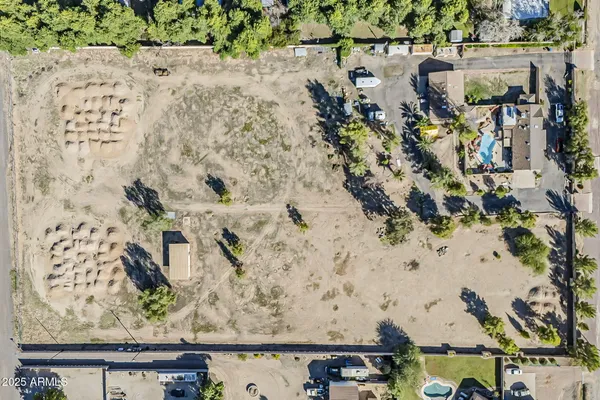 a view of yard with tree