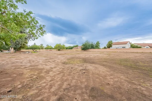 a view of a yard with an empty space and trees