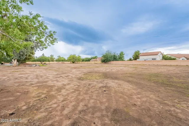 a view of a yard with an empty space and trees