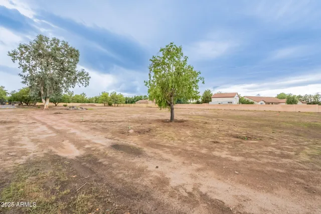 a view of a yard with a tree