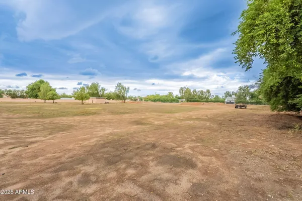a view of a yard with a tree