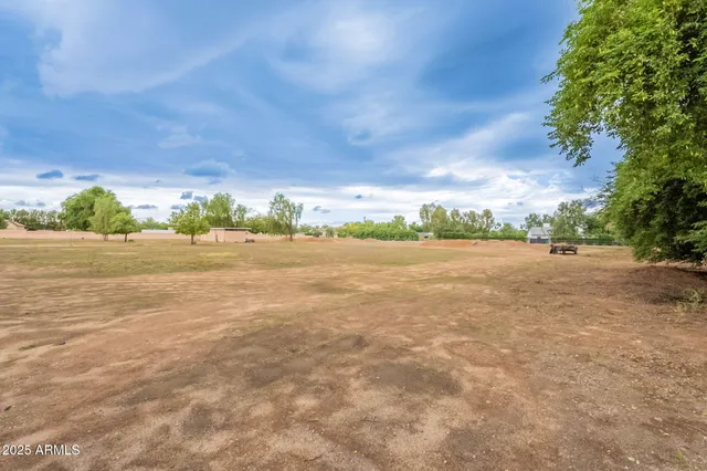 a view of a yard with a tree