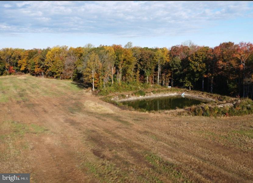 0 Friendship Road Monroeville, NJ 08343 - Photo 4 of 4 a view of a dry yard with trees