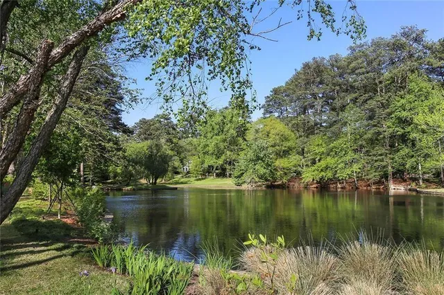 a view of a lake view with a garden