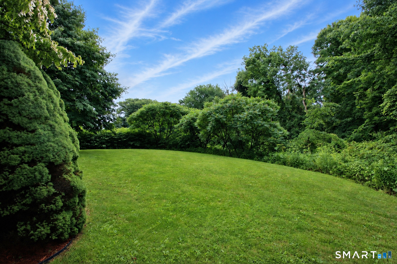 352 Center Street Wolcott, CT 06716 - Photo 35 of 40 a view of a grassy field with trees