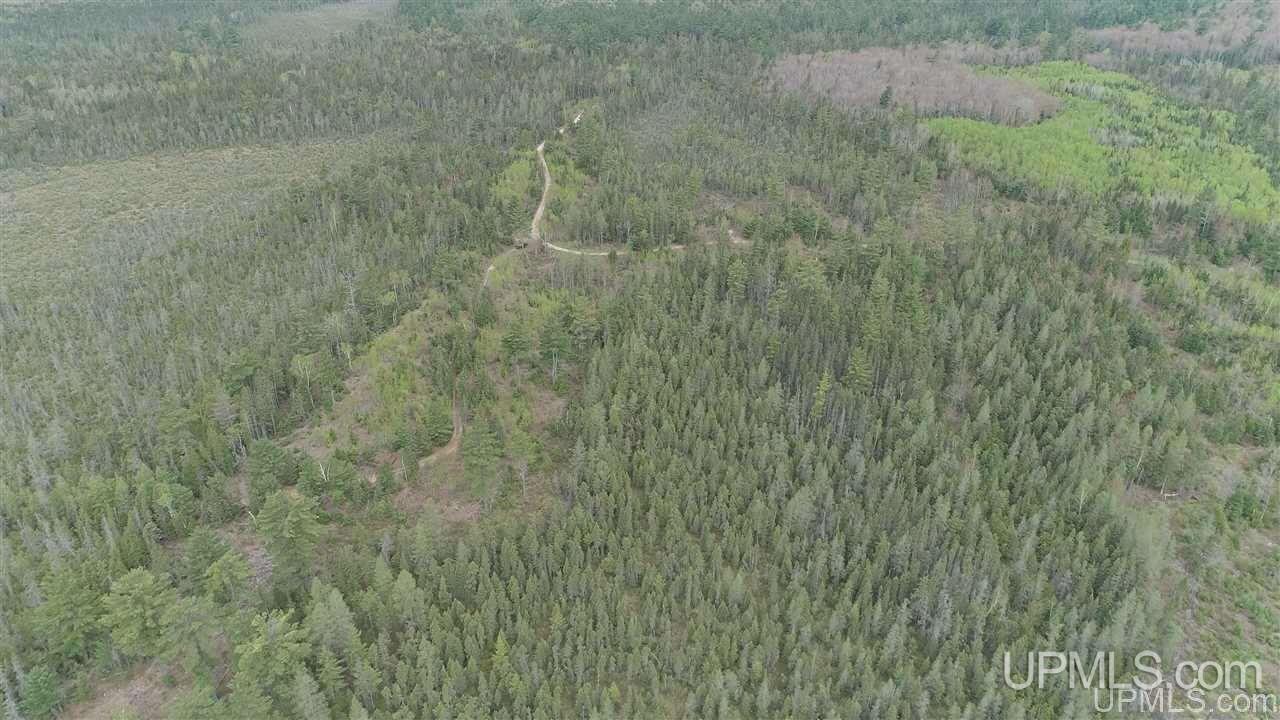 80-acres Camp 6 Road Newberry, MI 49853 - Photo 2 of 6