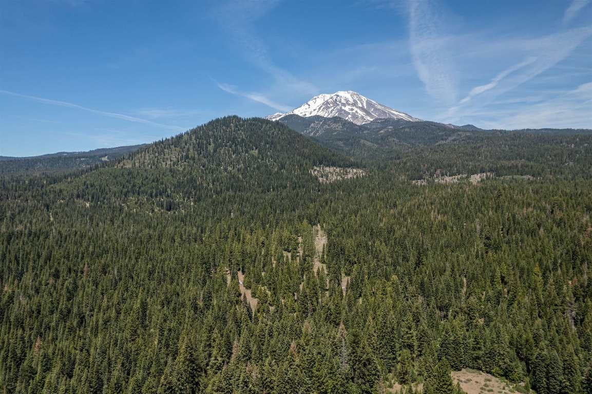 Signal Butte Road McCloud, CA 96057 - Photo 22 of 22 Gallery Image 22