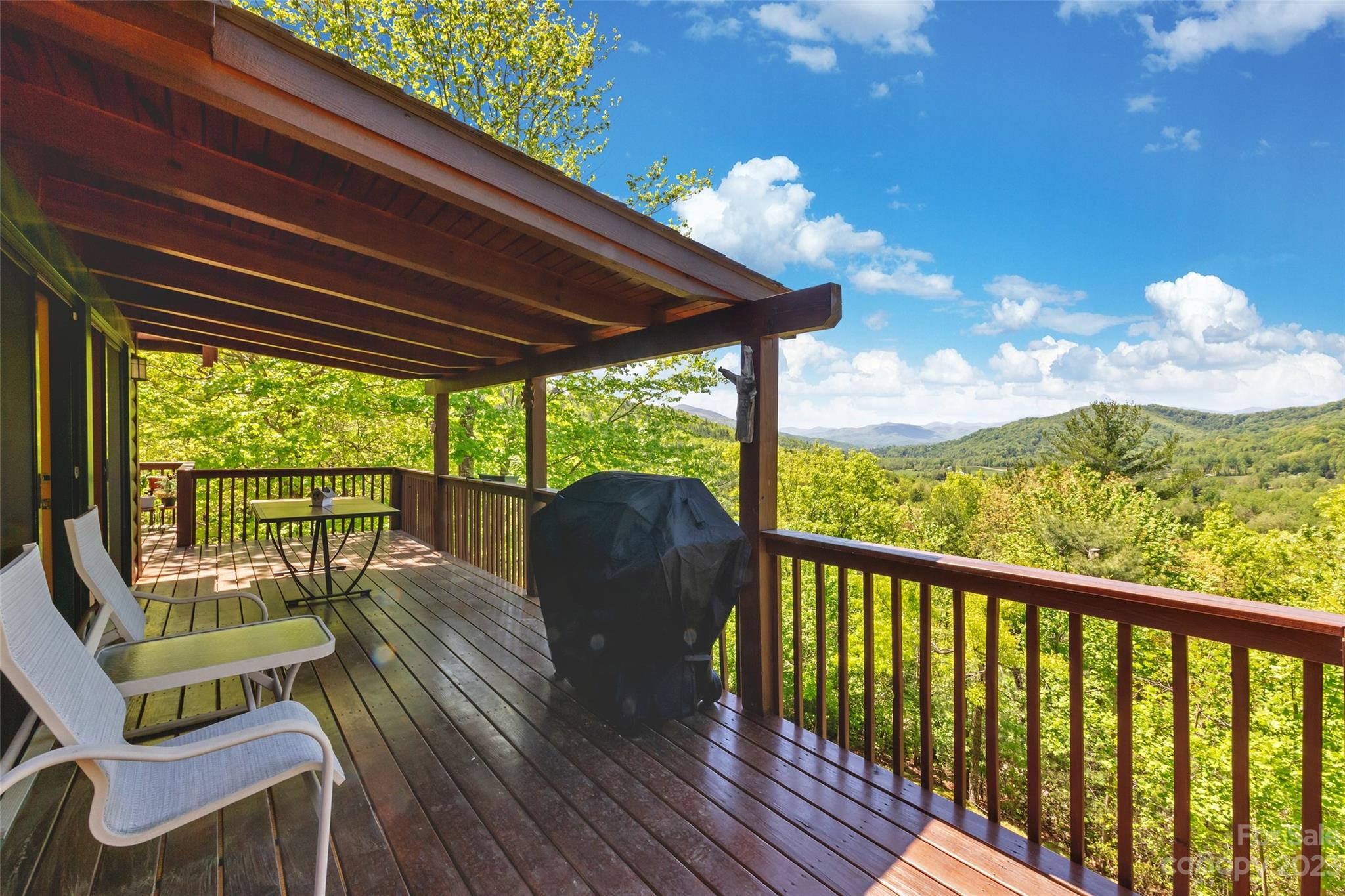 928 Deer Ridge Trail Marion, NC 28752 - Photo 3 of 37 Gallery Image 3