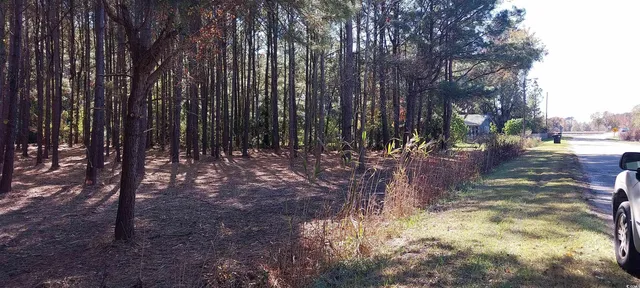 $54,999 | 0 Millers Road, Mullins, SC 29574