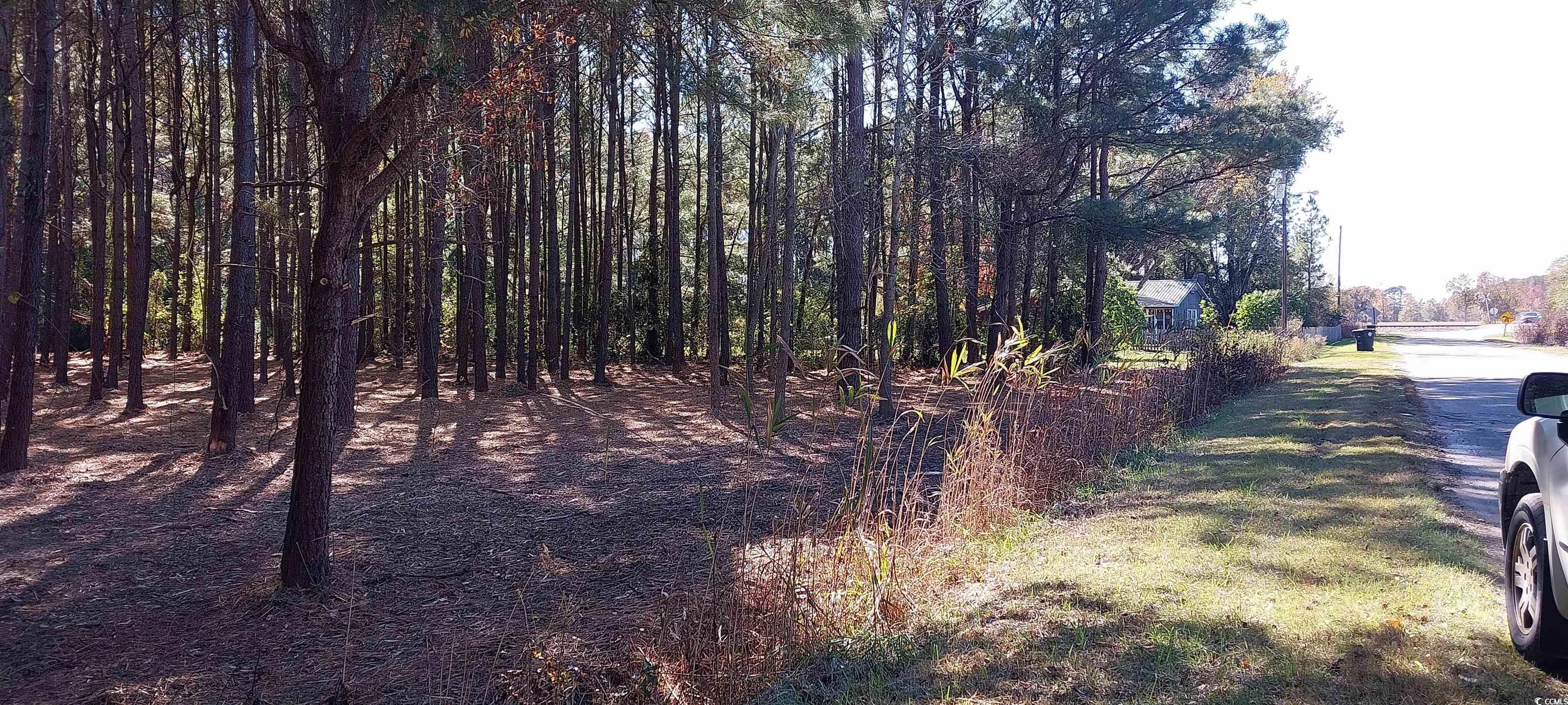 0 Millers Road Mullins, SC 29574 - Photo 2 of 12