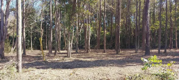 $49,999 | 0 Millers Road, Mullins, SC 29574