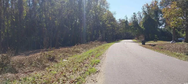 $54,999 | 0 Millers Road, Mullins, SC 29574