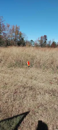 $49,999 | 0 Millers Road, Mullins, SC 29574