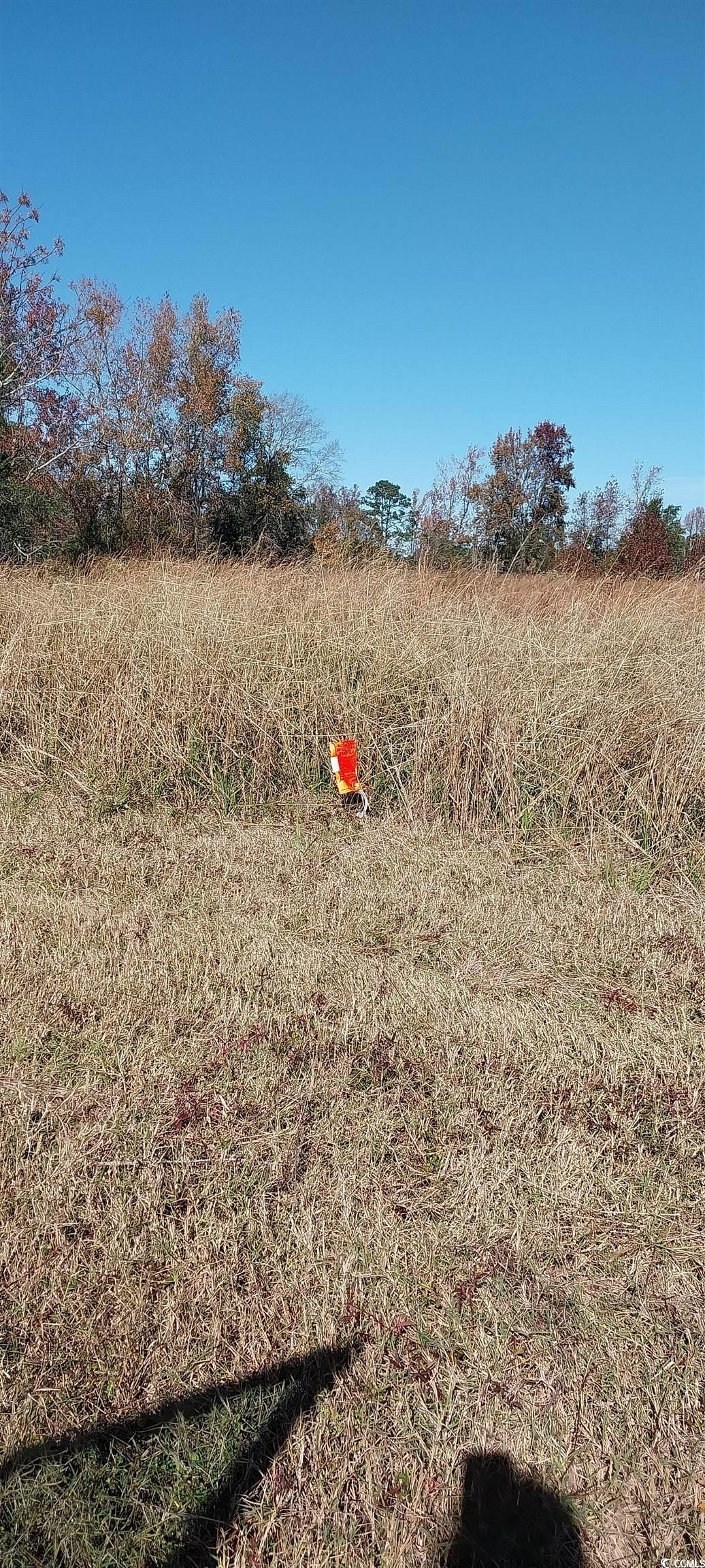 0 Millers Road Mullins, SC 29574 - Photo 6 of 12