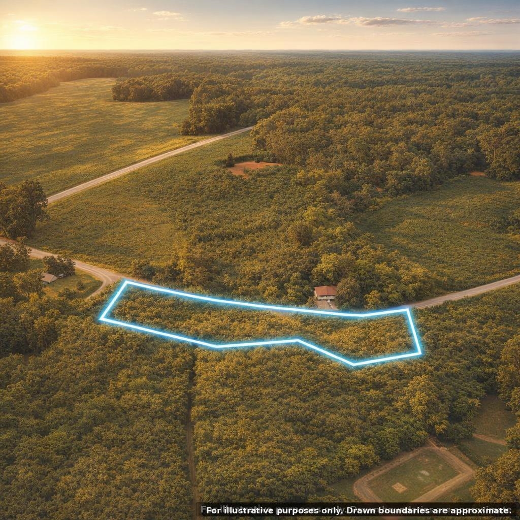 0 Millers Road Mullins, SC 29574 - Photo 8 of 12