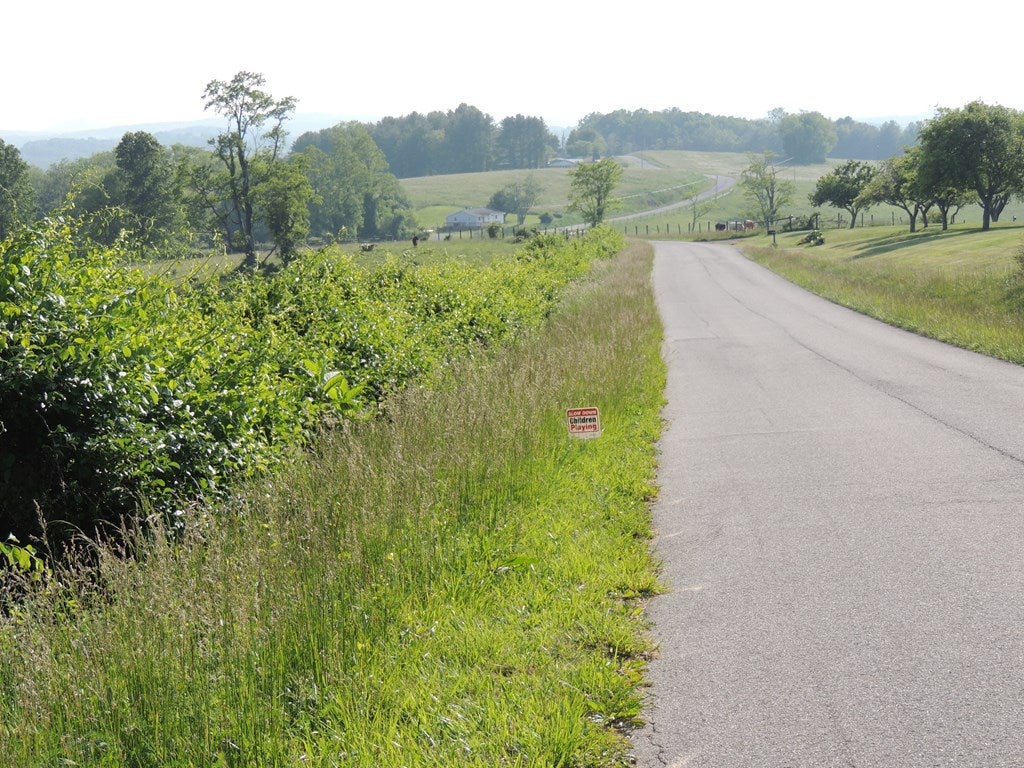 Tbd Martha's Knob Road, Unit 2 Galax, VA 24333 - Photo 11 of 32 Gallery Image 11