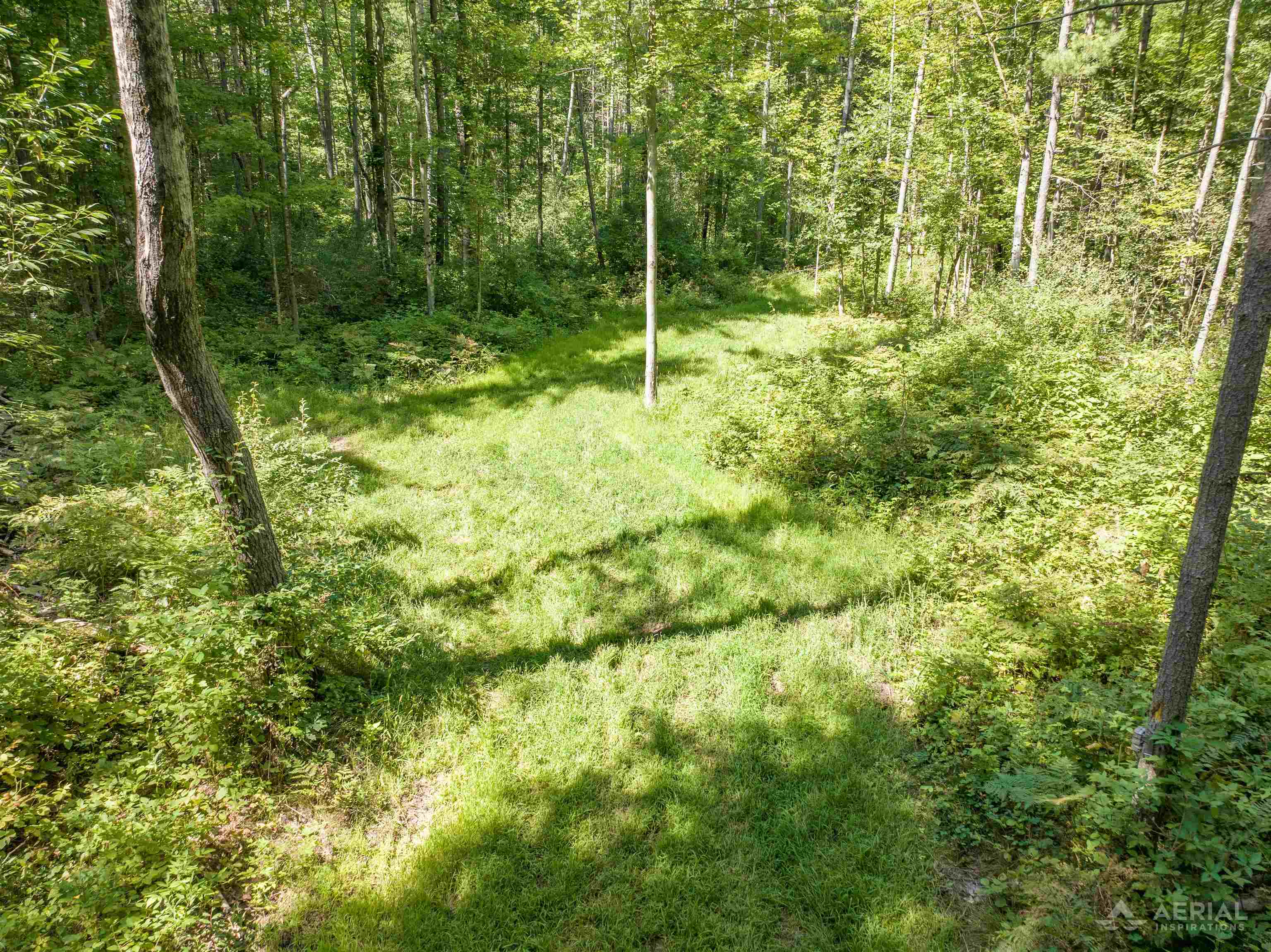 2861 Cemetery Road Gladwin, MI 48624 - Photo 35 of 43 1949842-1d504493-b65f-48db-8946-cd747903da00.JPG