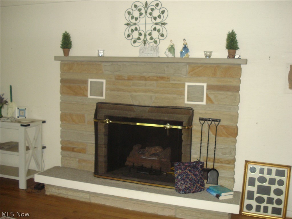 7342 Hopkins Road Mentor, OH 44060 - Photo 3 of 49 gas fireplace