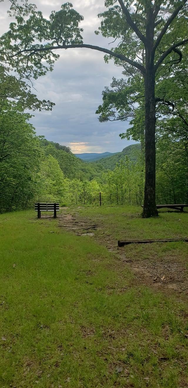Goosepond Road, Unit 5 Monterey, TN 38574 - Photo 3 of 5 Overlook Park 2