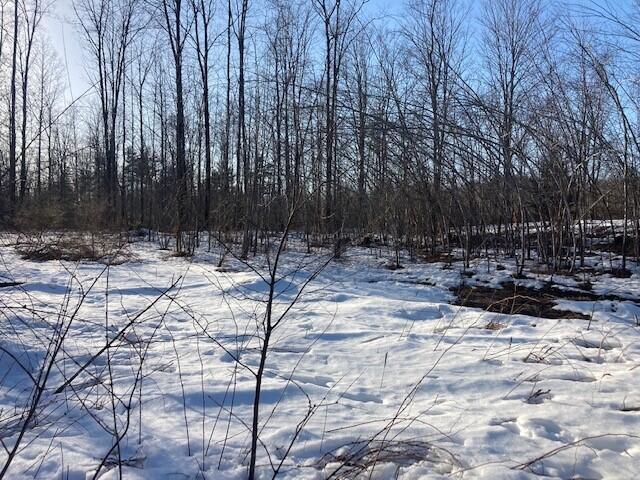 0 Buffum Road North Berwick, ME 03906 - Photo 9 of 10 Pic 7 Buffum