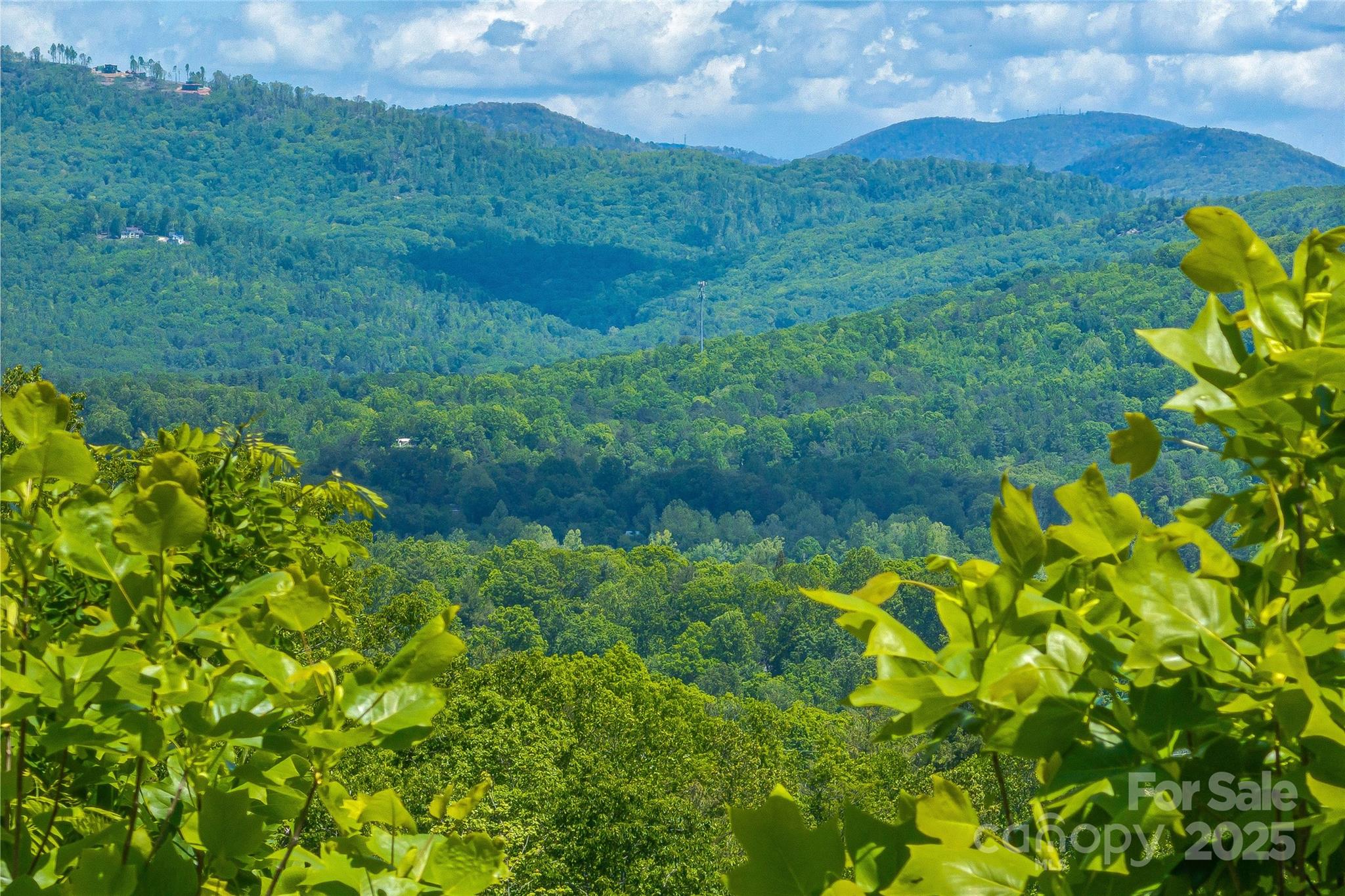 Lot R4 Curtain Bluff Hendersonville, NC 28791 - Photo 4 of 21