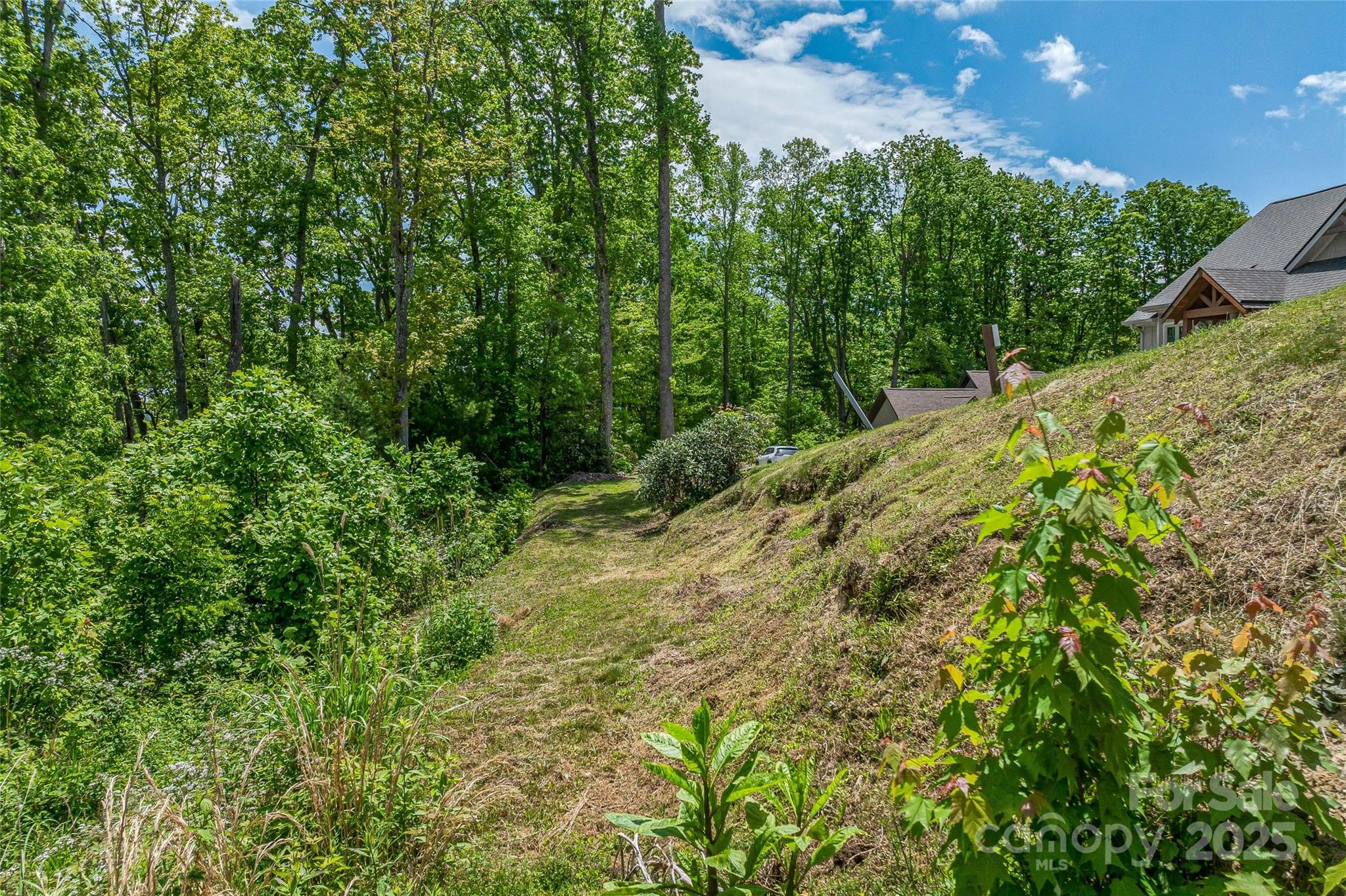 Lot R4 Curtain Bluff Hendersonville, NC 28791 - Photo 8 of 21