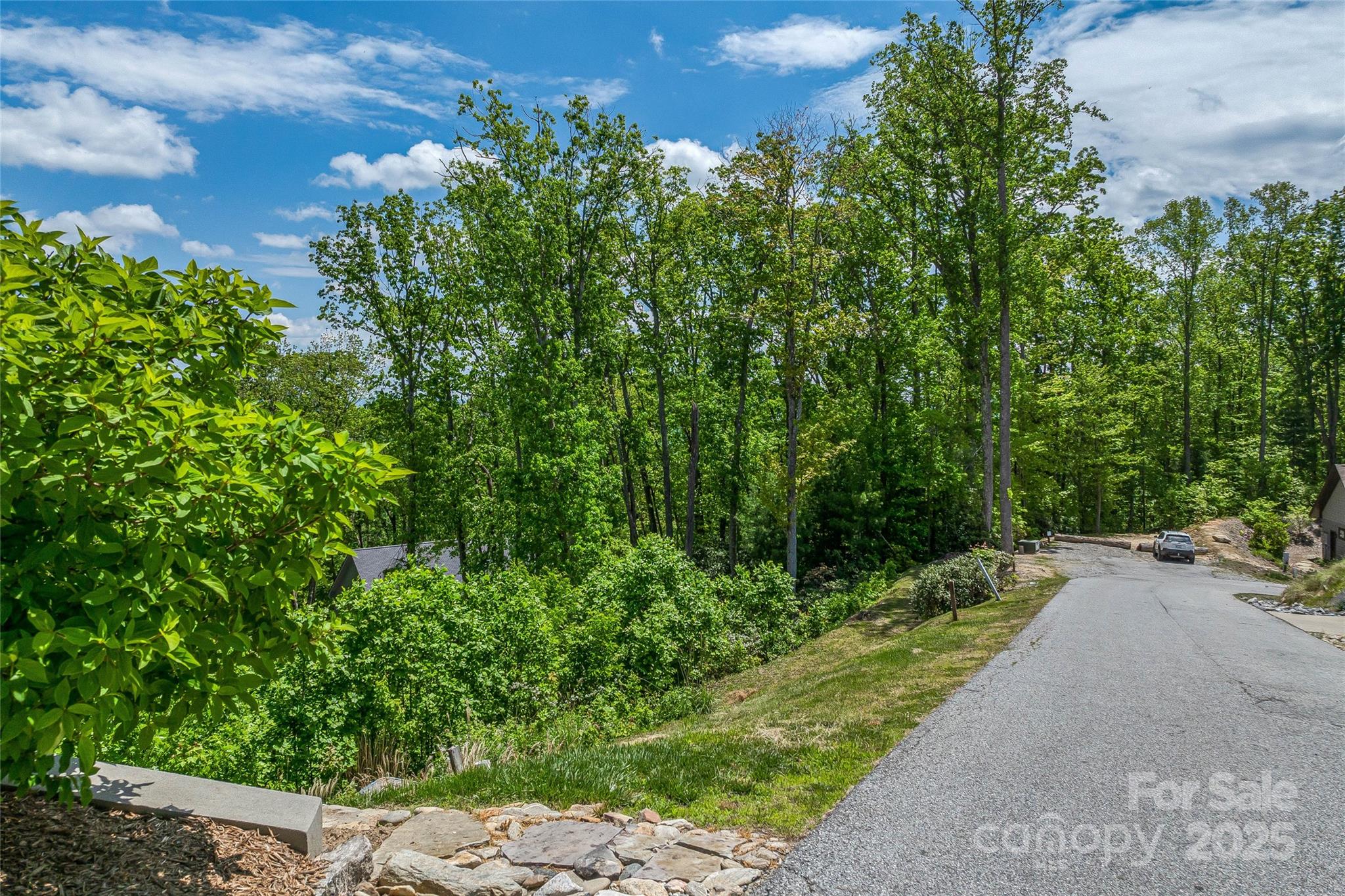 Lot R4 Curtain Bluff Hendersonville, NC 28791 - Photo 9 of 21