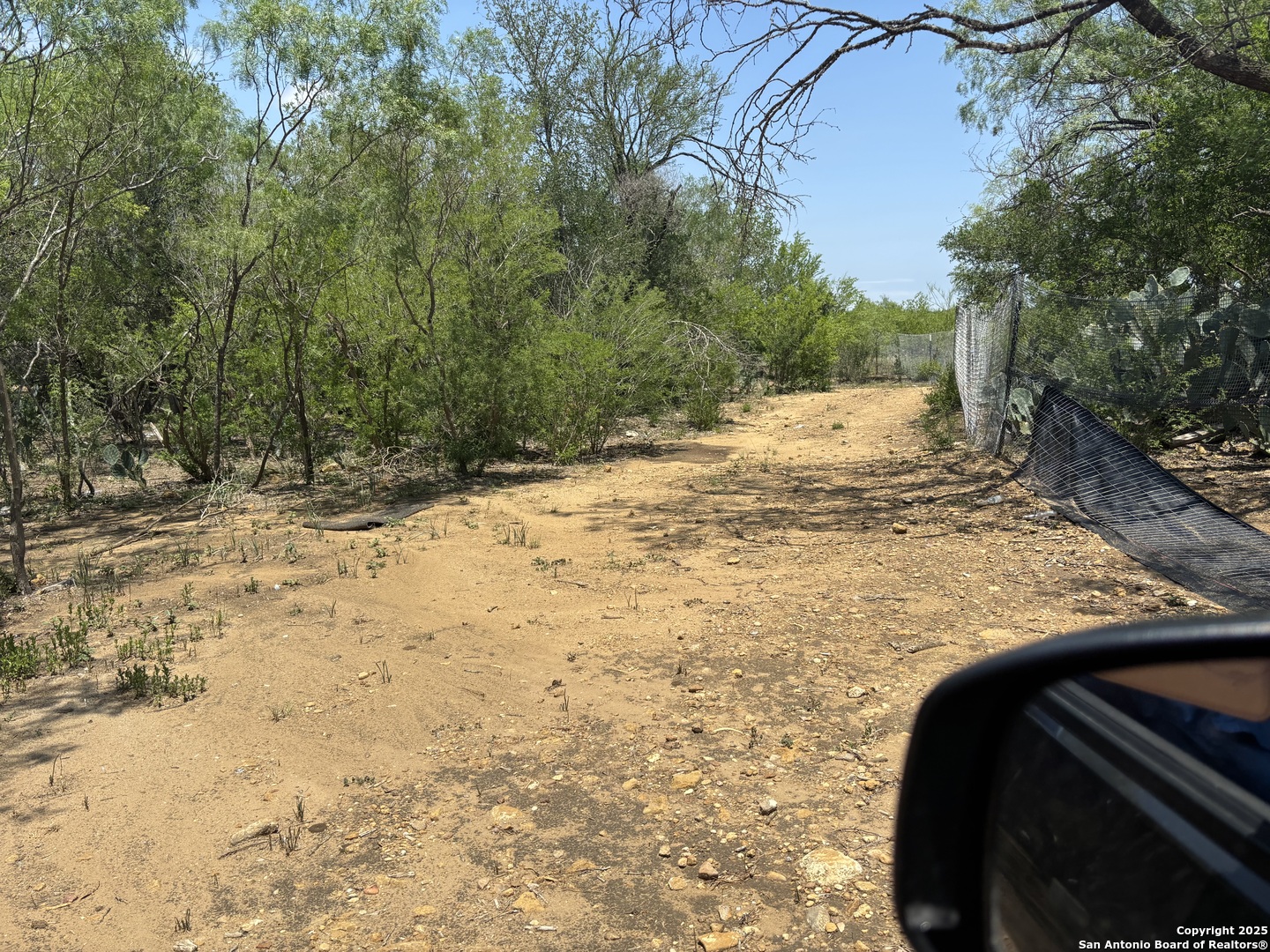5353 Labus Road Elmendorf, TX 78112 - Photo 4 of 11 a view of a yard with trees