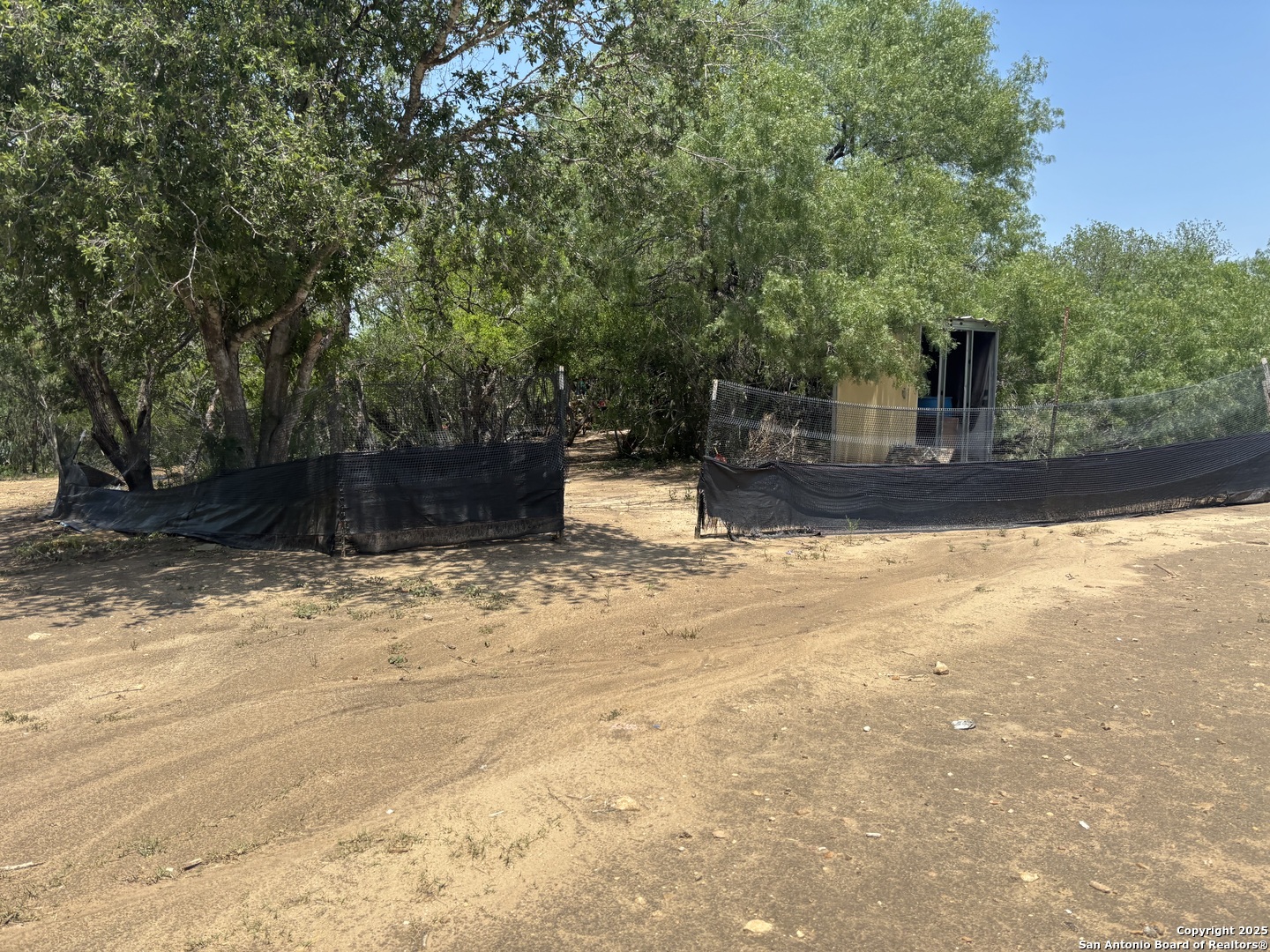 5353 Labus Road Elmendorf, TX 78112 - Photo 8 of 11 a view of a yard with plants and trees