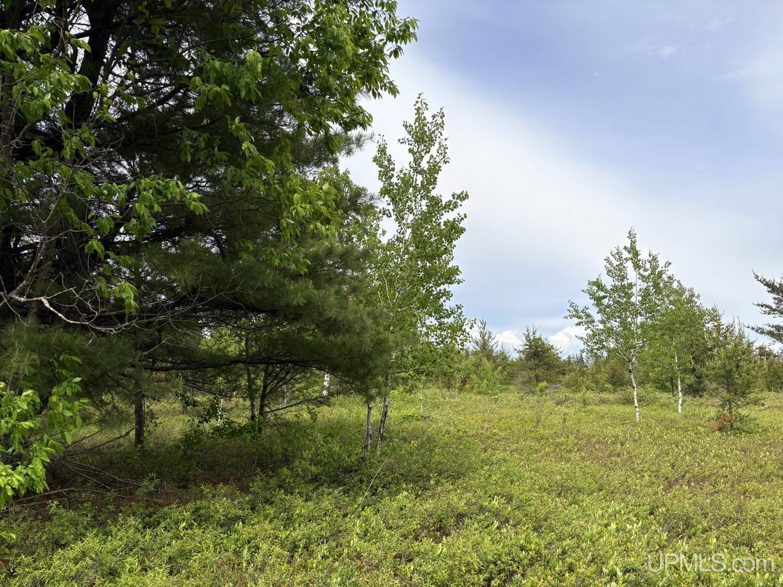 Tbd Tbd Co Road Gwinn, MI 49841 - Photo 41 of 58