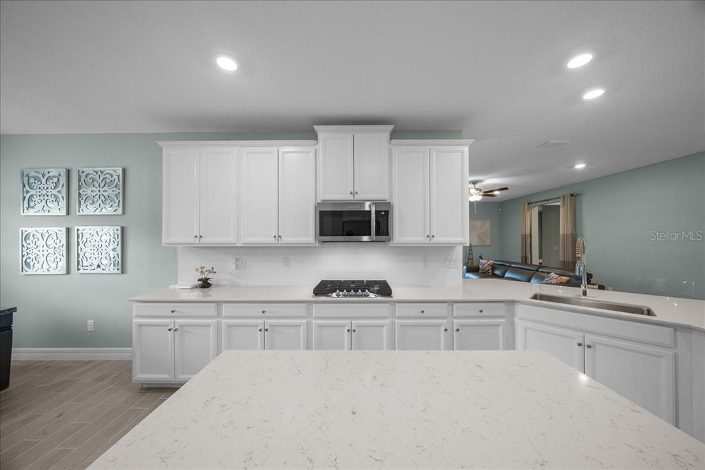 1130 Southeast 42nd Road Ocala, FL 34480 - Photo 62 of 83