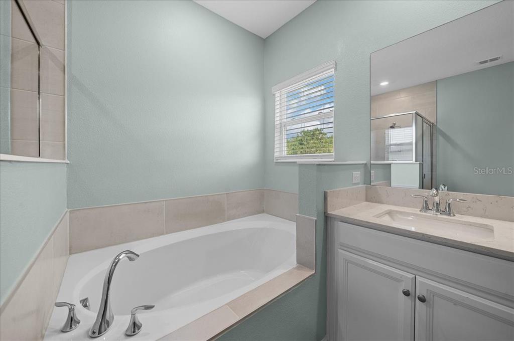 1130 Southeast 42nd Road Ocala, FL 34480 - Photo 79 of 83 a bathroom with a tub sink and mirror