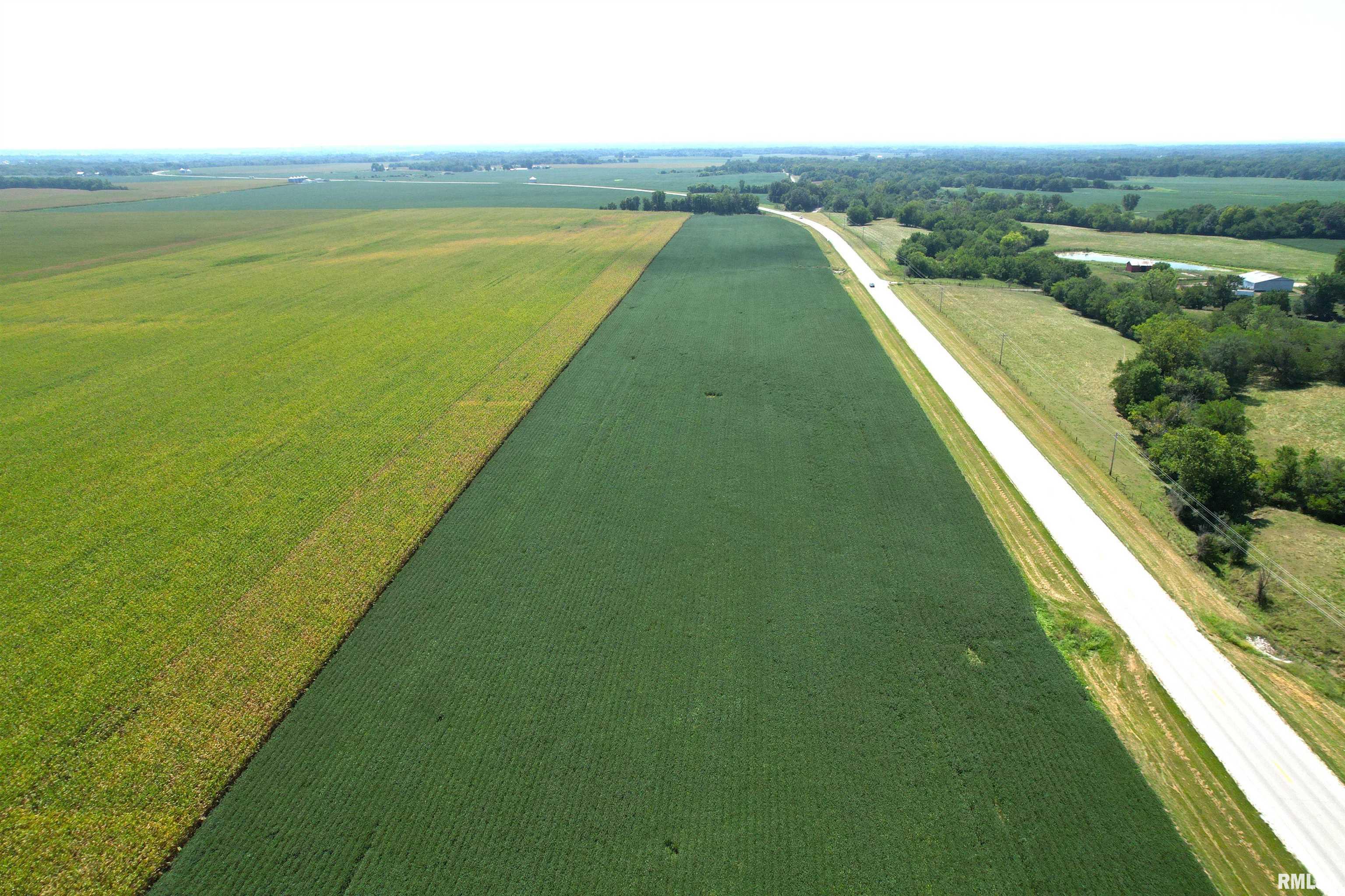 Preston Hollow Road Murrayville, IL 62668 - Photo 8 of 11 Gallery Image 8