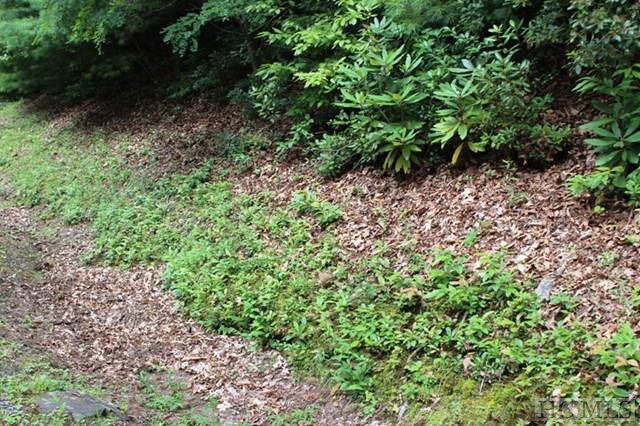 33 Whitewater Ridge Road Maggie Valley, NC 28751 - Photo 3 of 11 Gallery Image 3