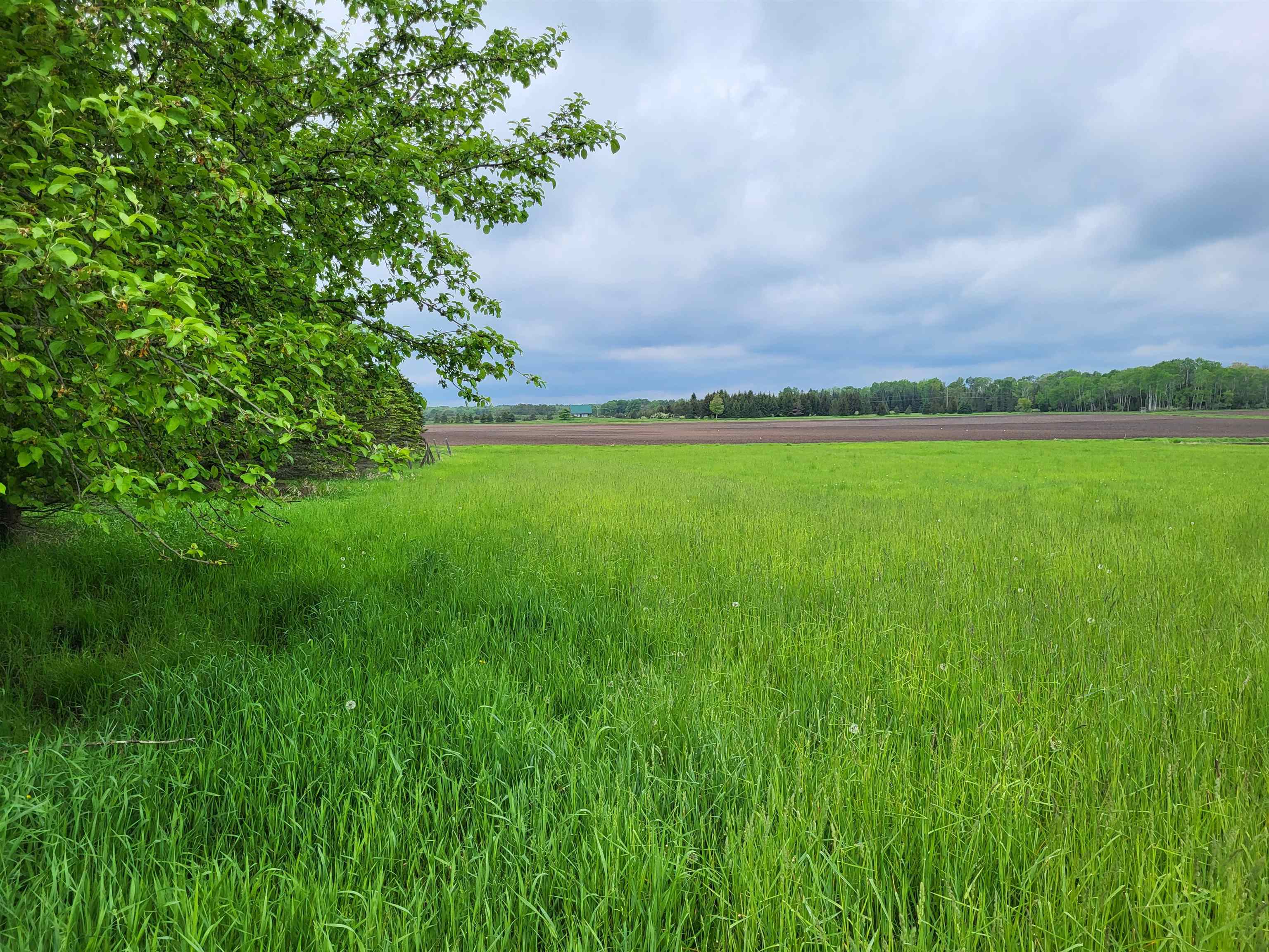 1763 Mill Road Harrisville, MI 48740 - Photo 40 of 45 Gallery Image 40