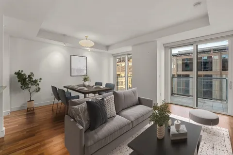 a living room with furniture and a potted plant