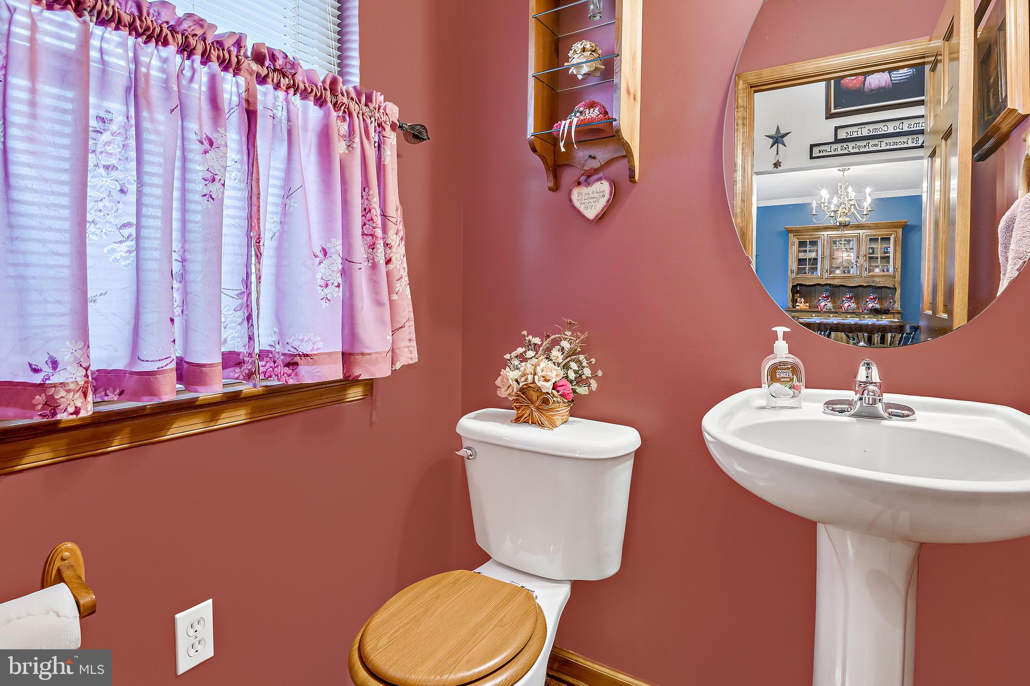 25 Forest Ridge Court Red Lion, PA 17356 - Photo 18 of 38 1st floor Powder Room
