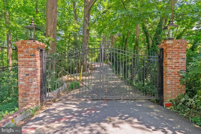 a view of a yard with plants and trees