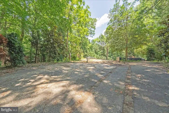a view of outdoor space with trees