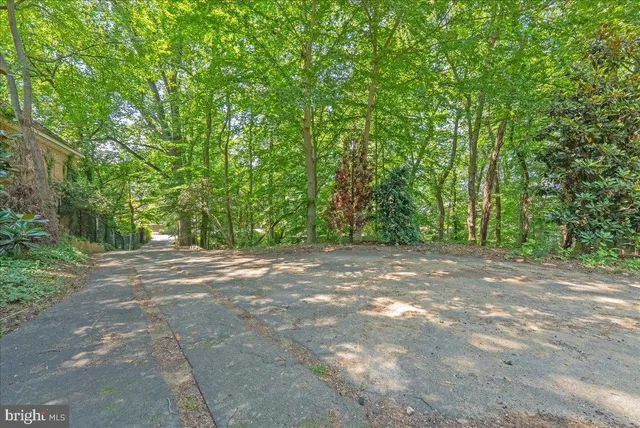 a view of a yard with large trees