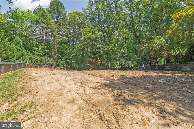 a view of a yard with a tree